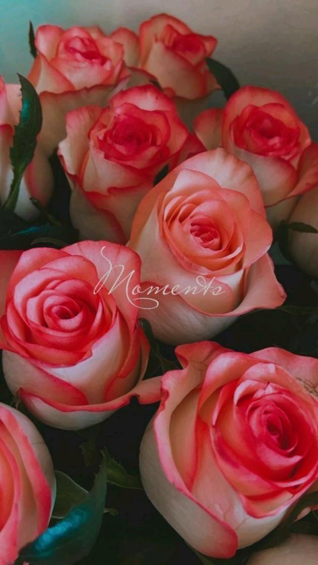 CedarFrontierLoom workshop space where corporate flower arrangements are designed and prepared for business delivery